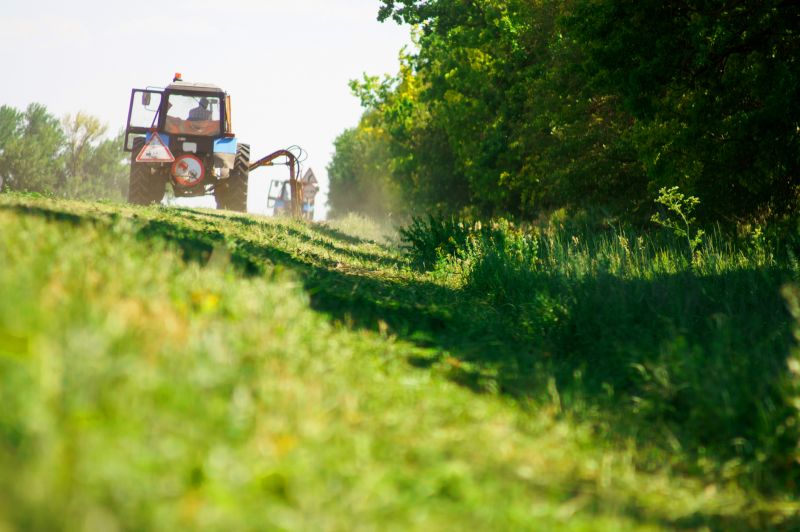 Brush Hog Service