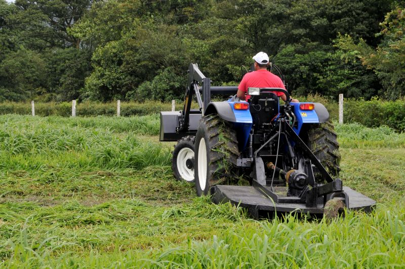 Brush Hog Service