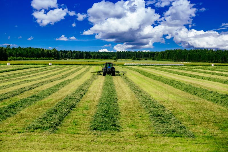 Acreage Mowing Service in Duluth, MN