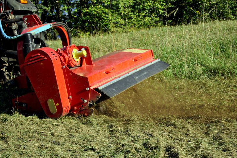 Clearing Overgrown Fields