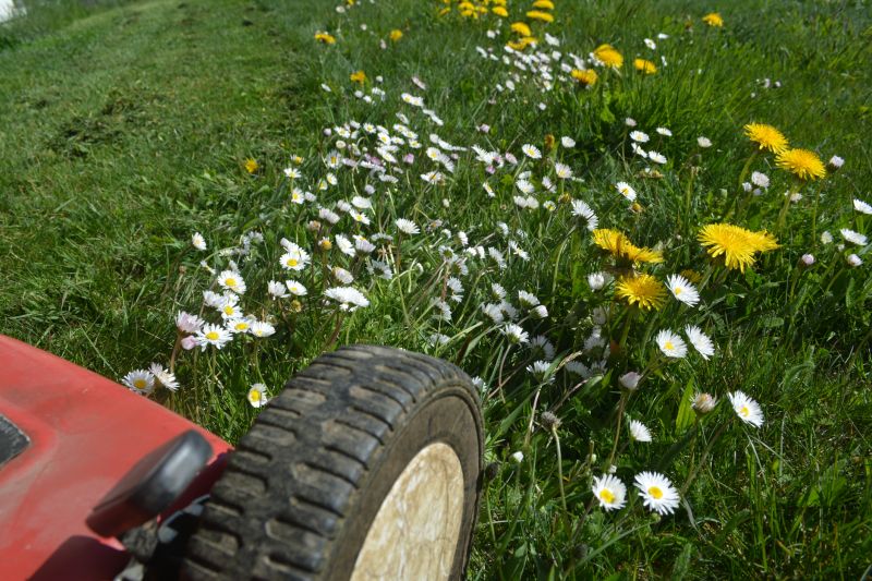 Pasture Mowing in Calvert County, MD