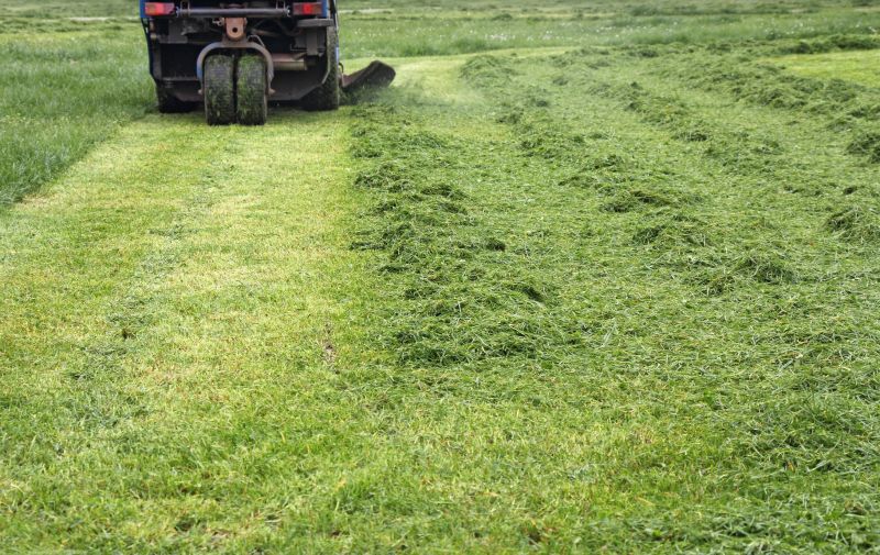 Vacant Lot Mowing in Calvert County, MD