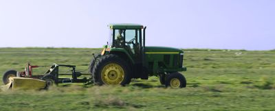 Clear Out Land for Farming