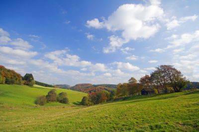 Beautiful Landscape After Brush Hogging