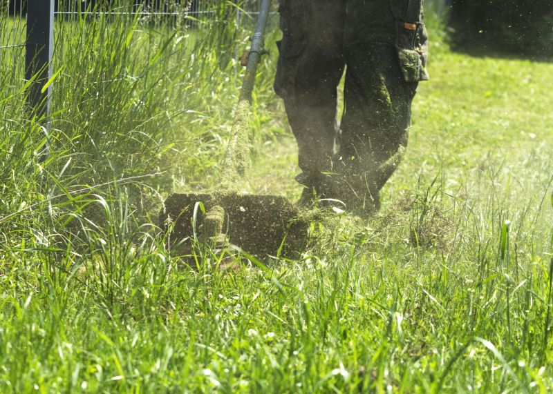 Pasture Mowing in Duluth, MN